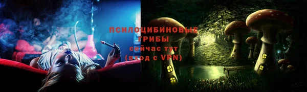 амф Бородино
