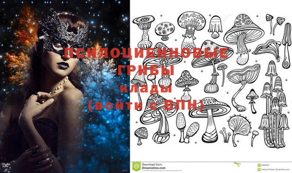 не бодяженный Сясьстрой