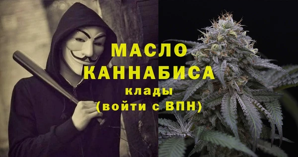 амф Бородино