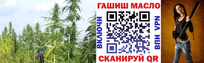 купить наркотик  Окуловка  Дистиллят ТГК THC oil 