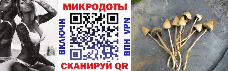 гидра зеркало  Окуловка  Псилоцибиновые грибы GOLDEN TEACHER 